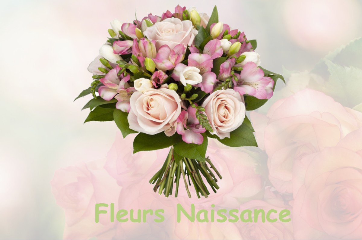 fleurs naissance CHANCEAUX-PRES-LOCHES