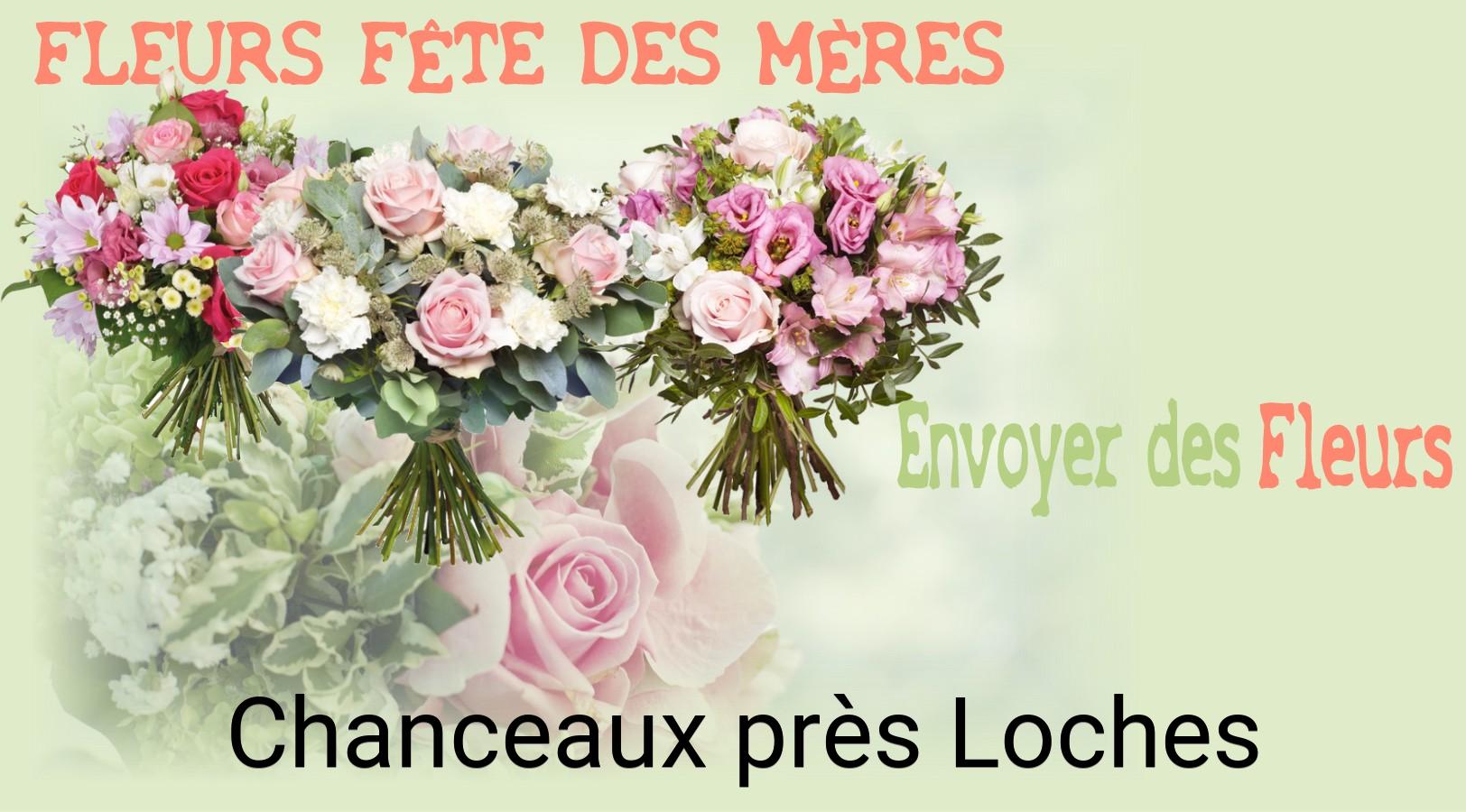 Bouquet de Fête des Mères livré à Chanceaux-près-Loches